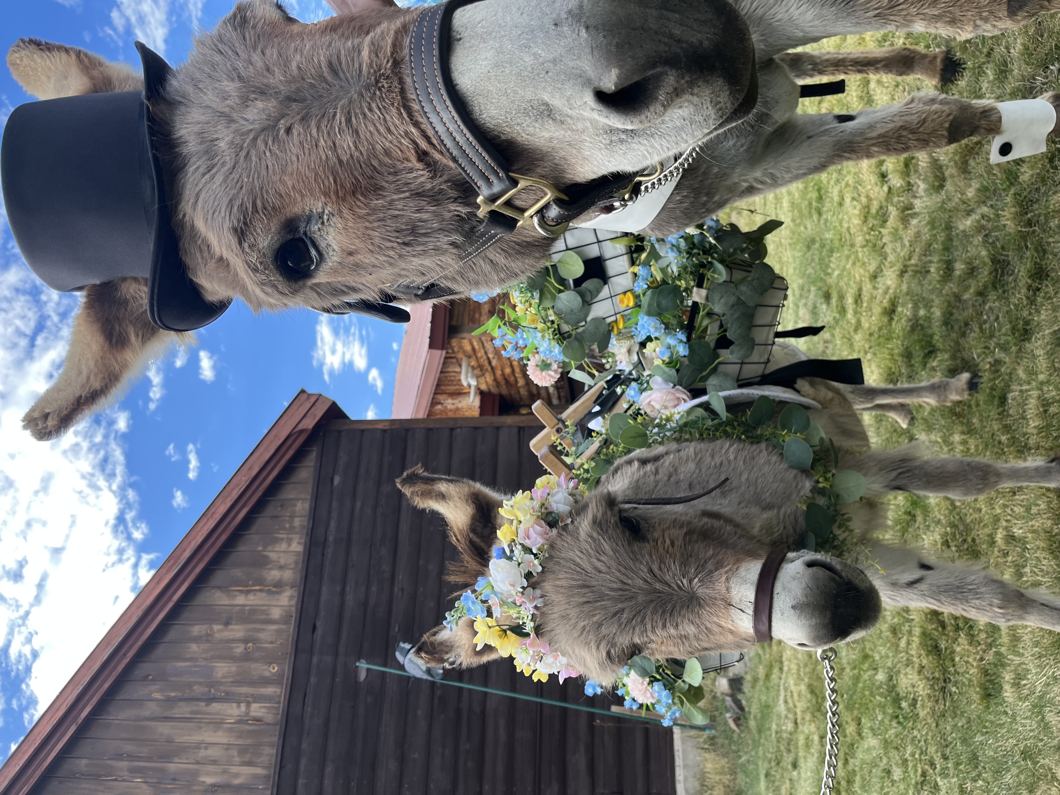 Guest  shared a photo