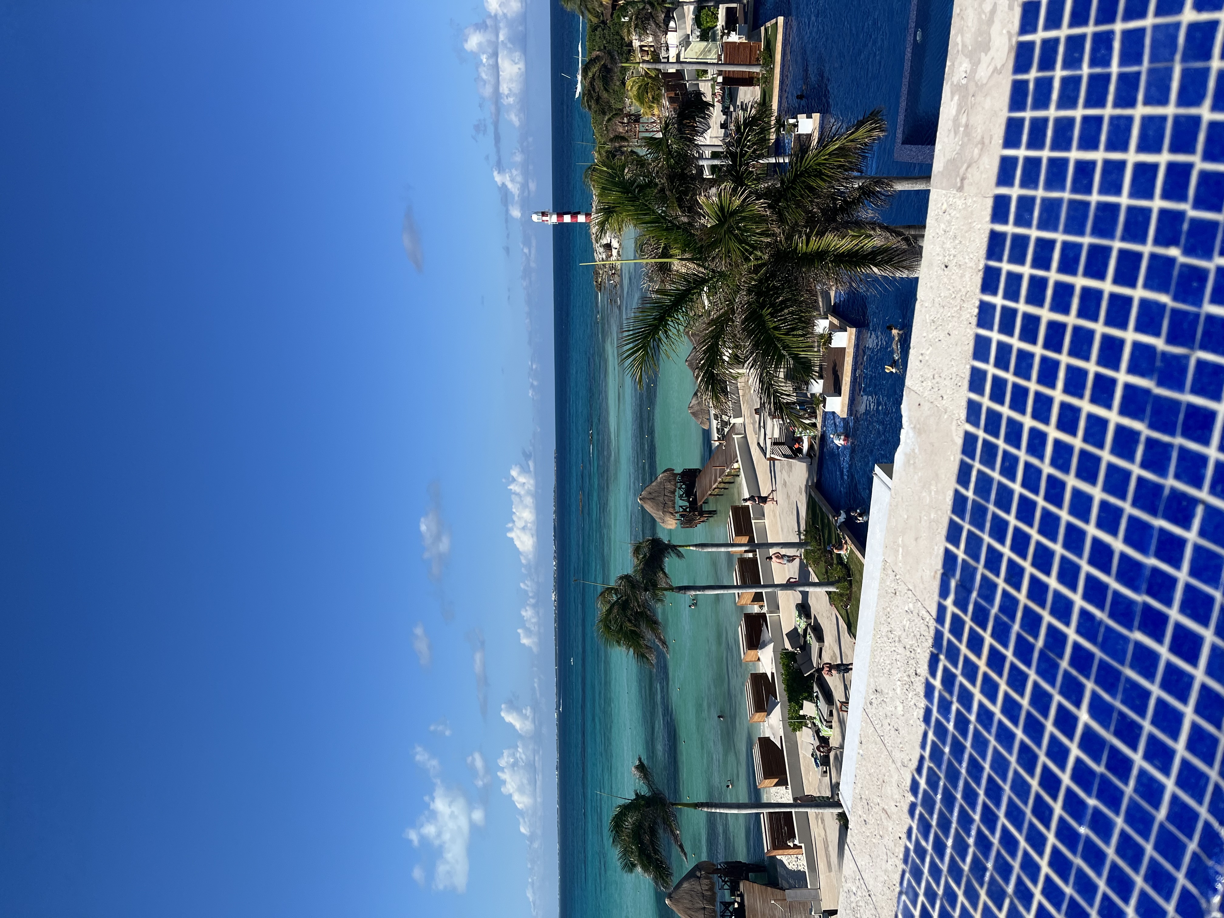 Guest  shared a photo