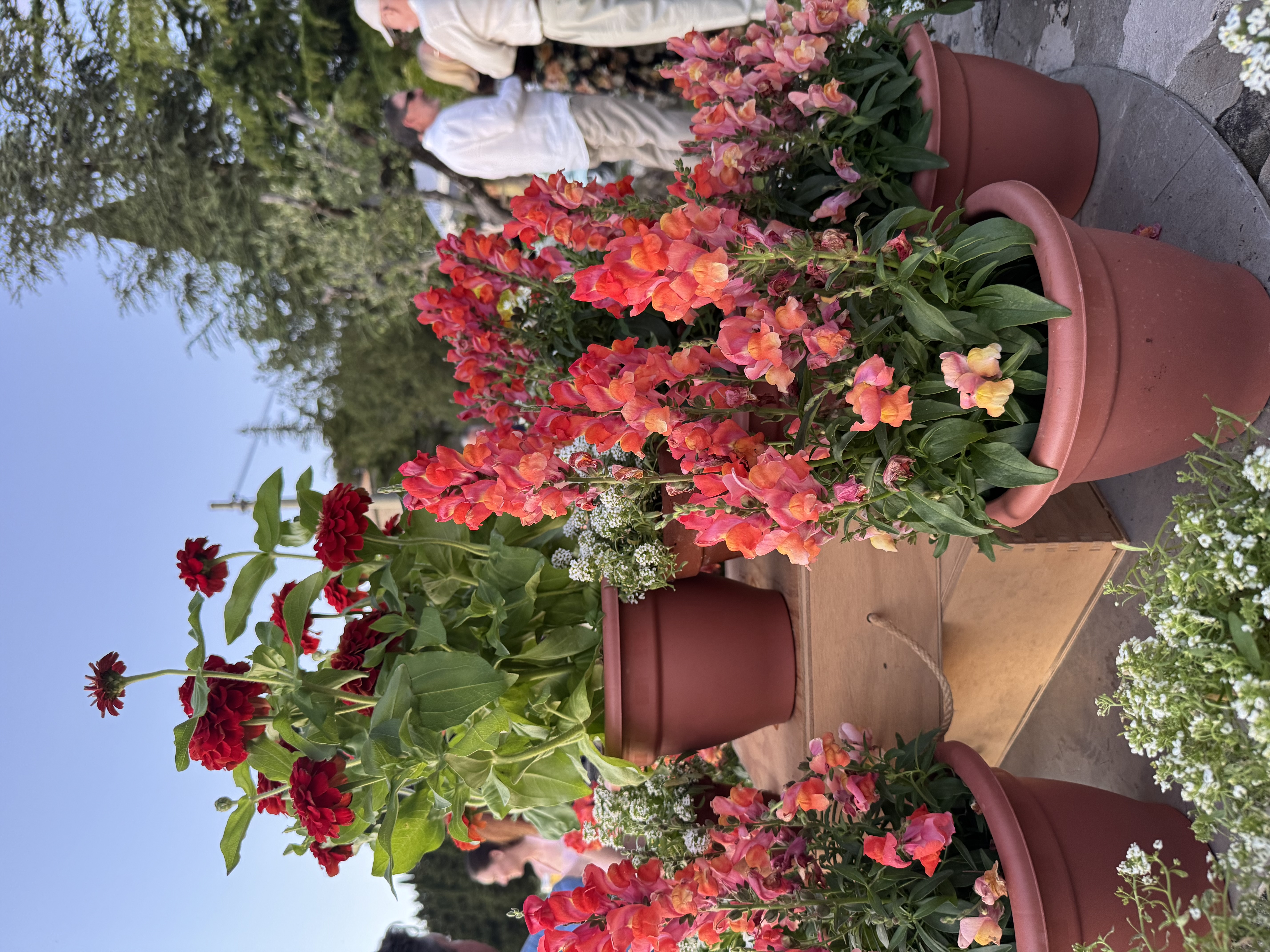 Guest  shared a photo