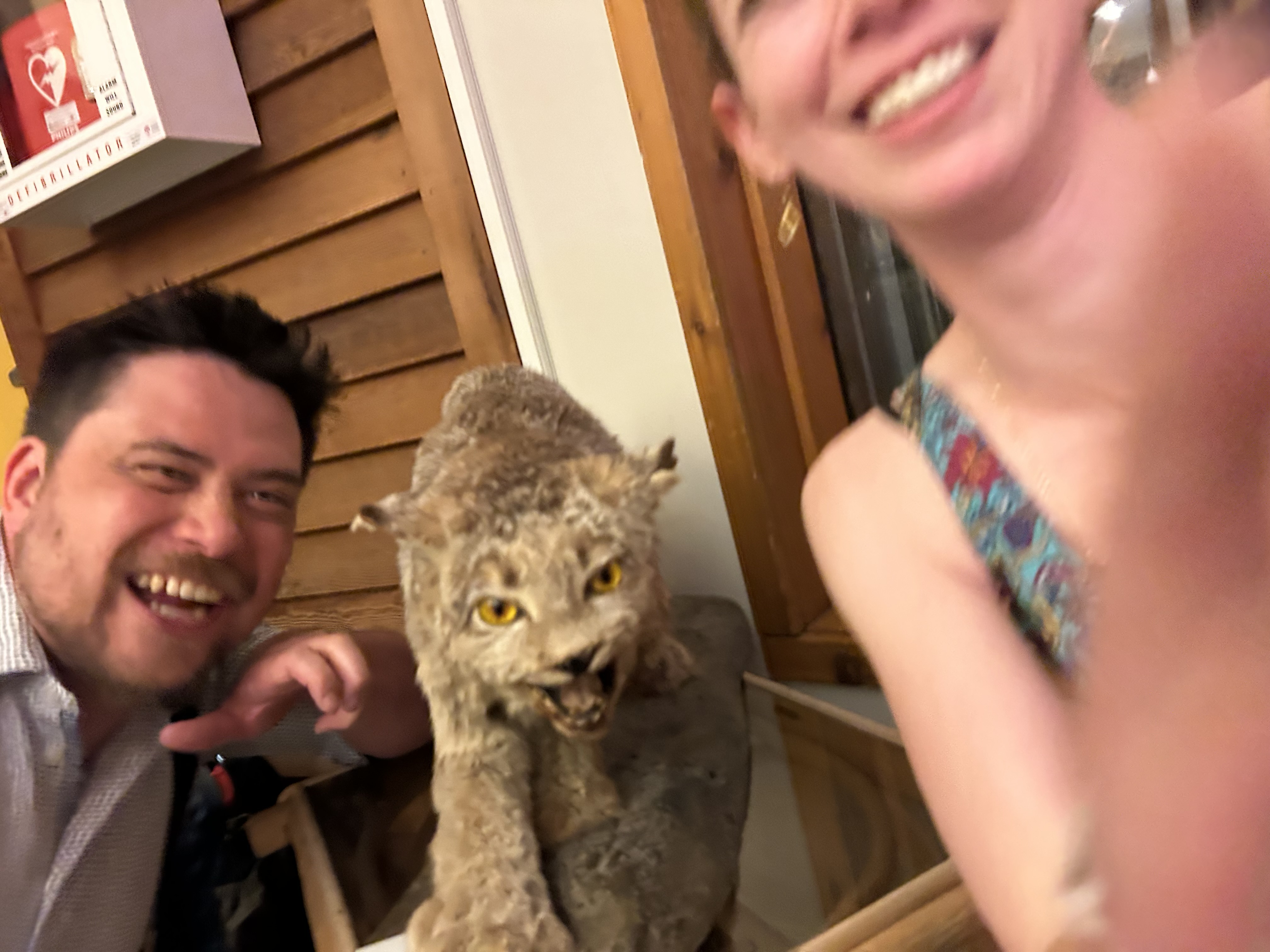 Guest  shared a photo