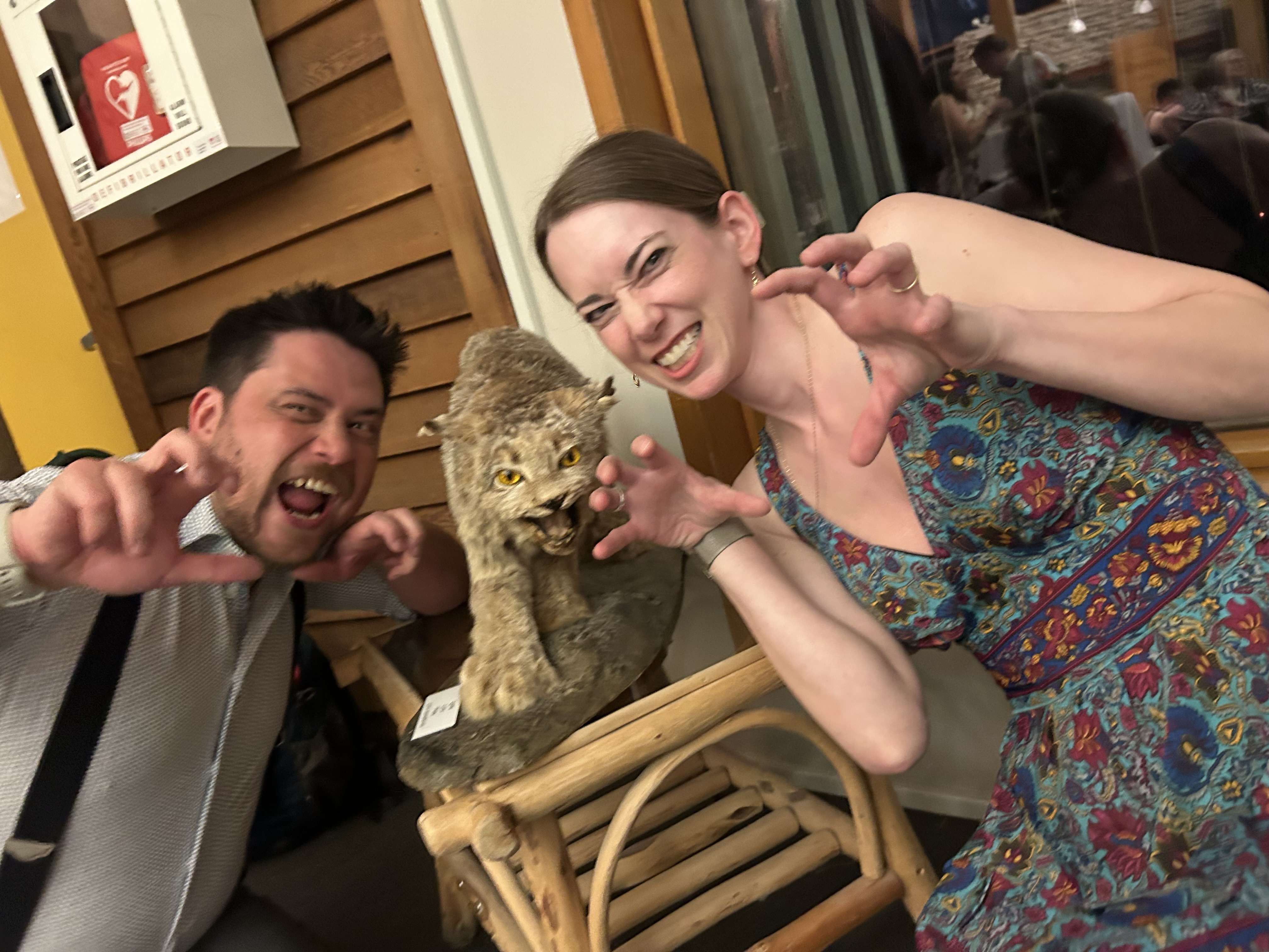 Guest  shared a photo