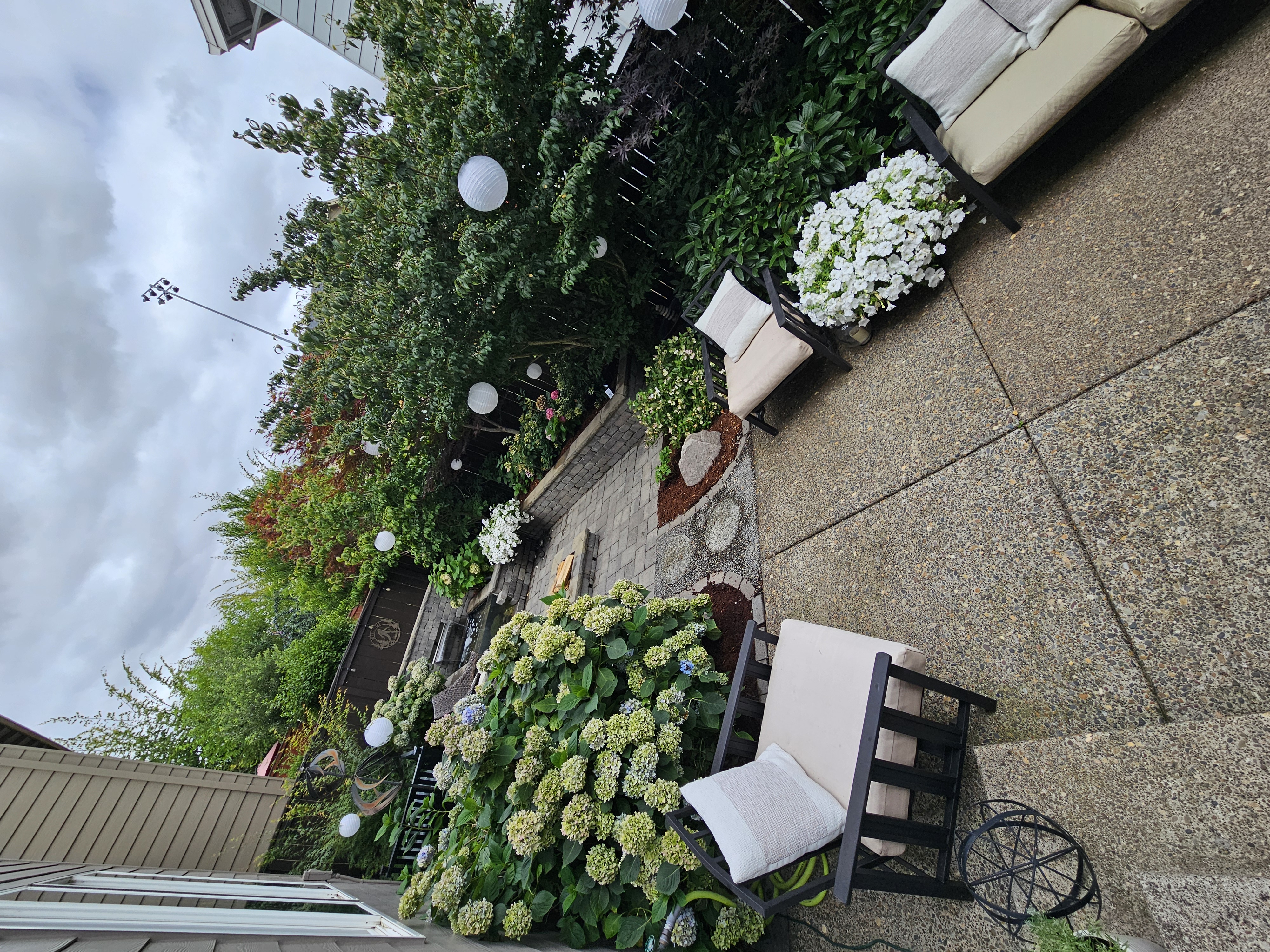Guest  shared a photo