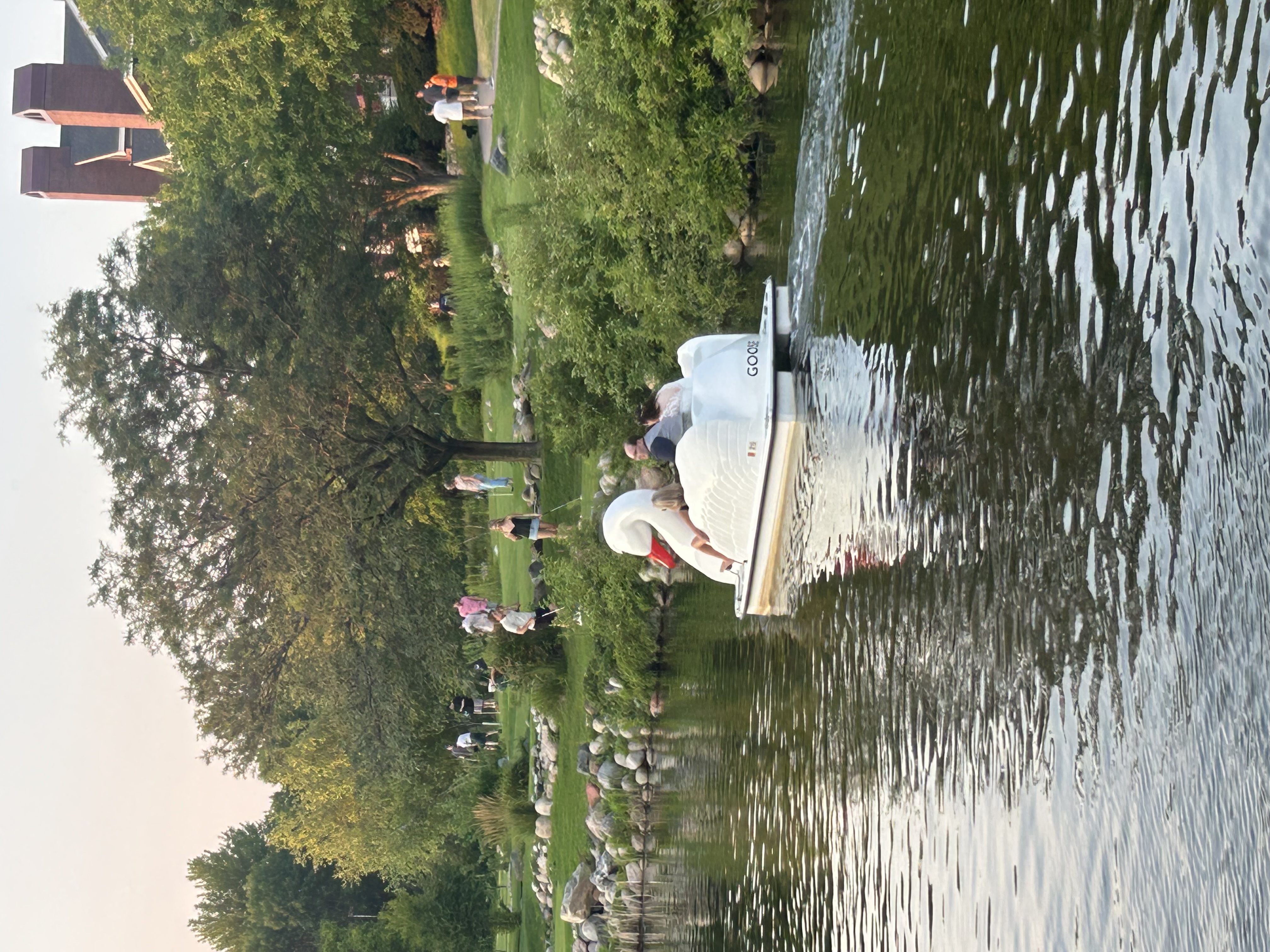 Guest  shared a photo