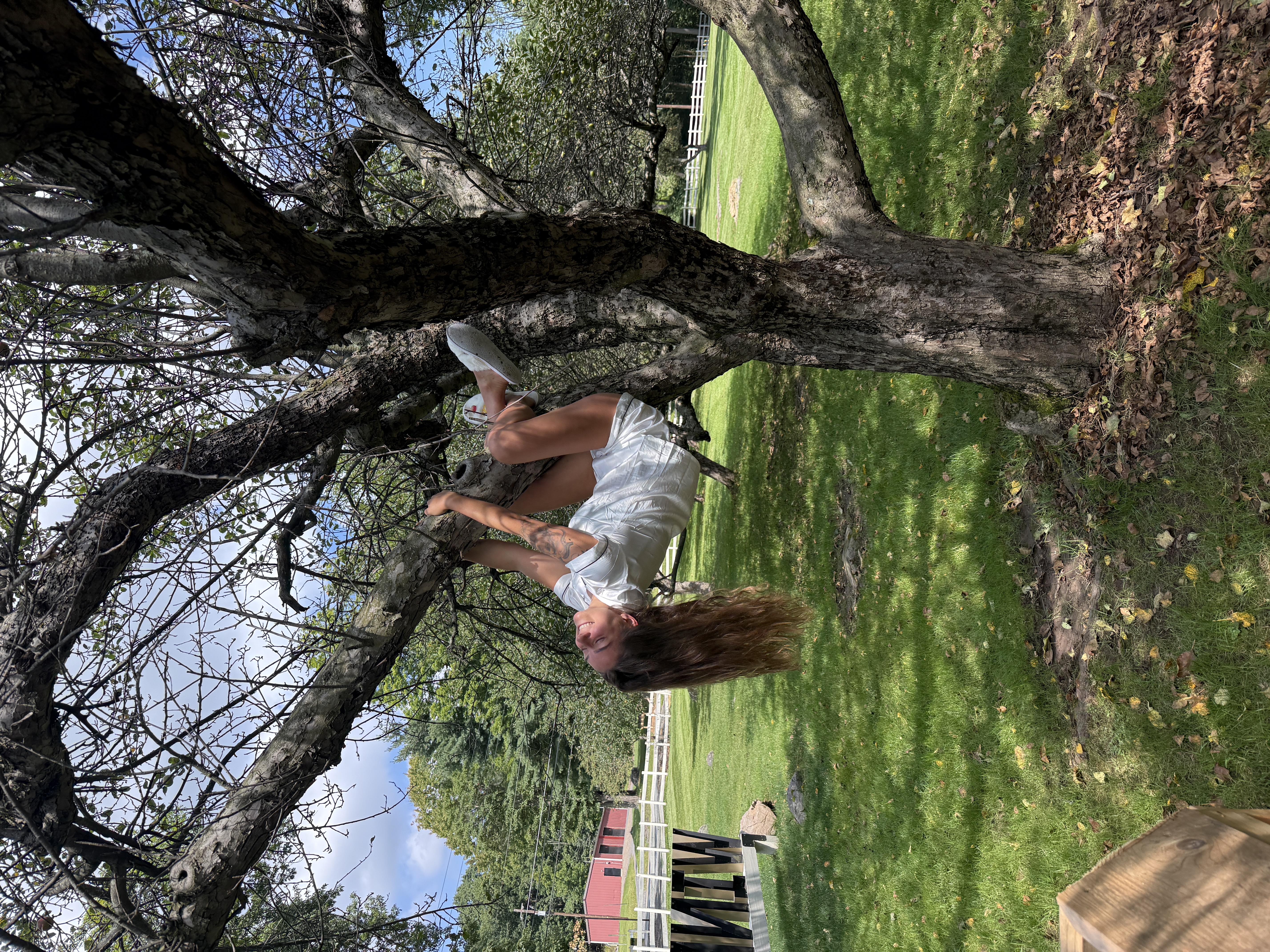 Guest  shared a photo